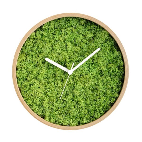 Muschi decor Evergreen